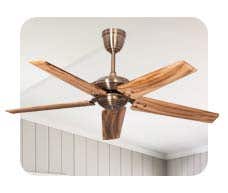 Ceiling Fans